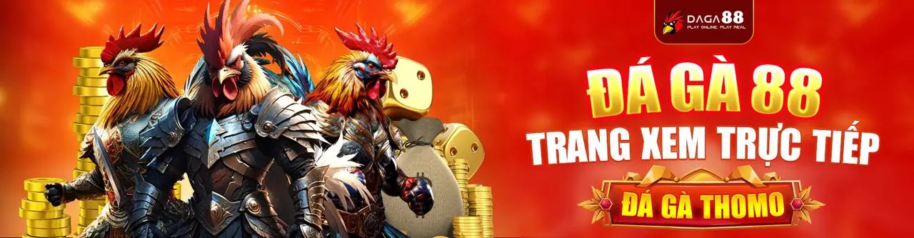Đấu trường đá gà trực tuyến 66club