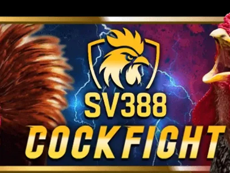 Đá gà tre và gà nòi