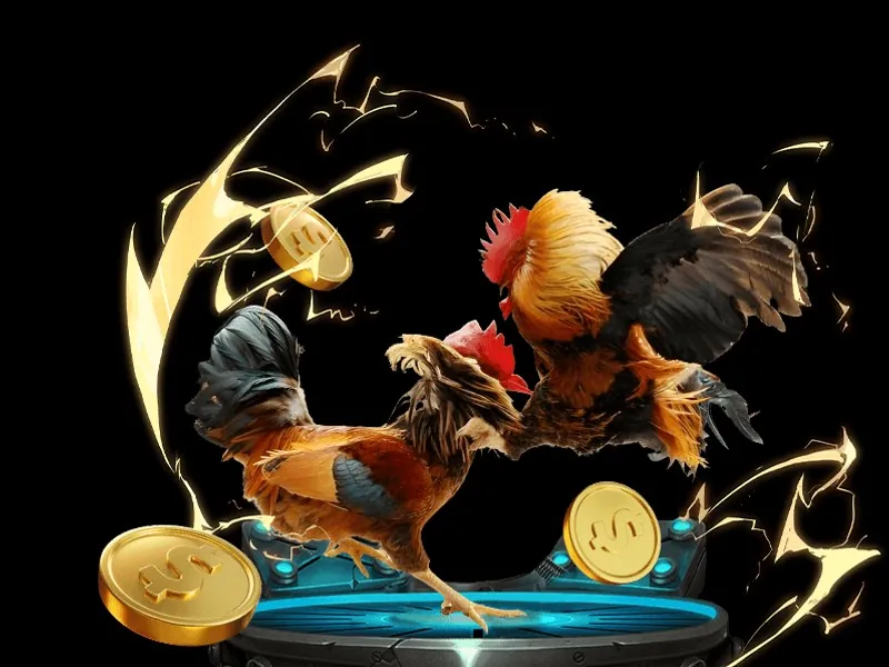 Hướng dẫn đá gà trực tuyến 66club